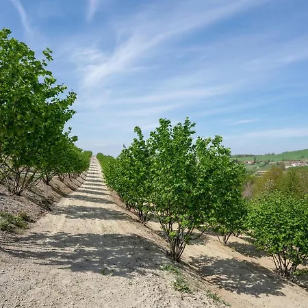 Ferienhaus In Marsaglia Cn With Jacuzzi *